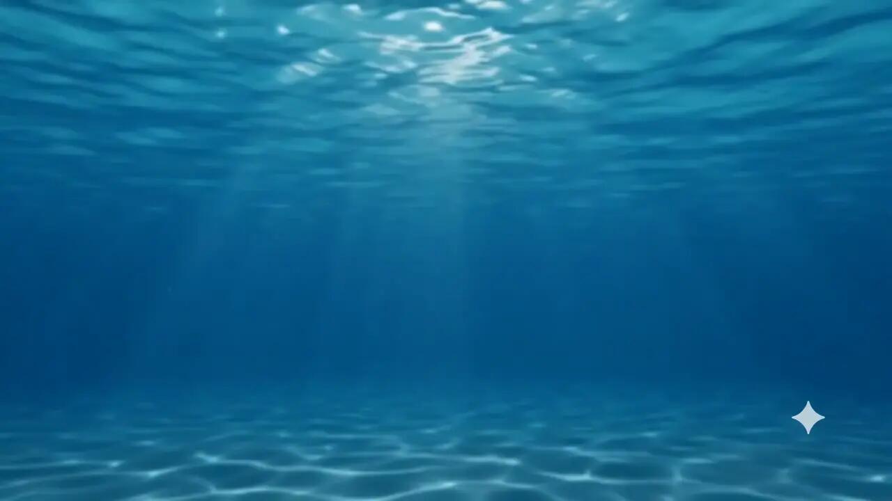 Introvideo